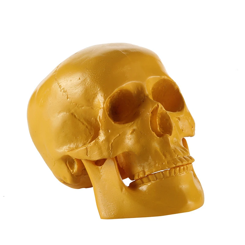 

Resin skull Halloween gifts personal ornaments home accessories GXGT005
