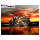 Diy Алмазная леопардовая Вышивка крестиком, алмазная живопись, квадратная животная вышивка, стразы ASF649