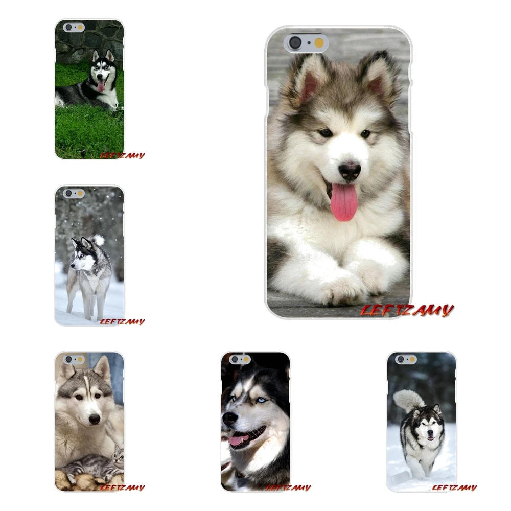 Аксессуары чехлы для телефонов Alaskan Malamute Siberian husky dog Samsung Galaxy A3 A5 A7 J1 J2 J3 J5 J7 2015 2016 2017 |