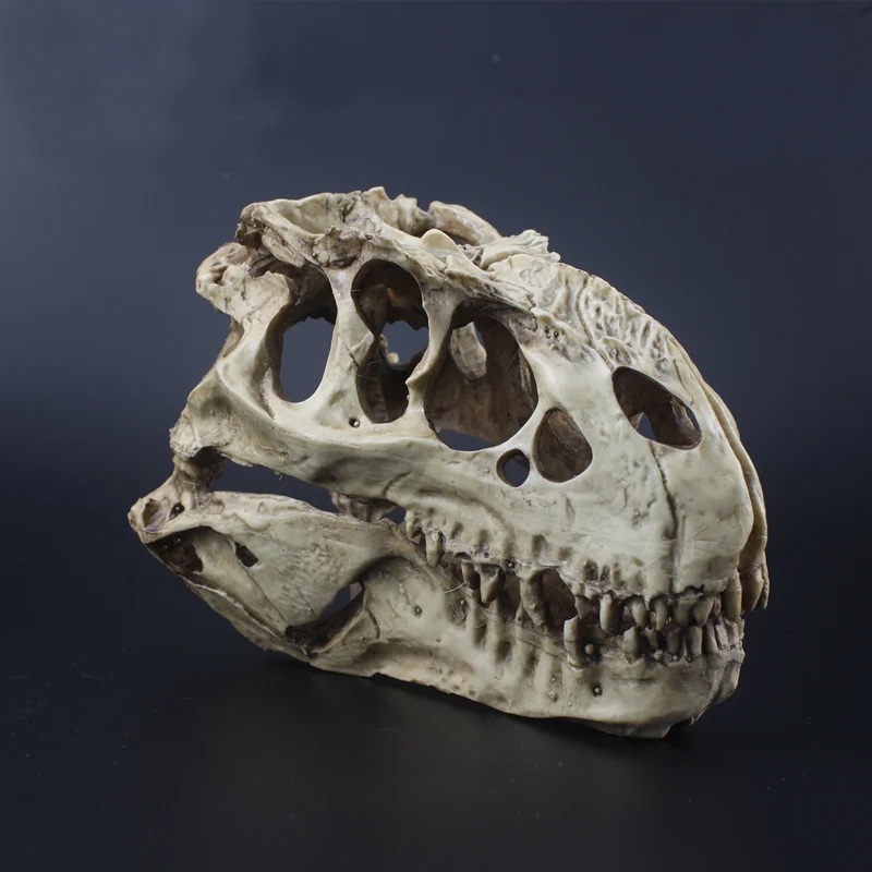 Аквариумный аквариум ormanent crawler box украшение из смолы tyrannosaurus rex skull 16*9*12 см | Дом и