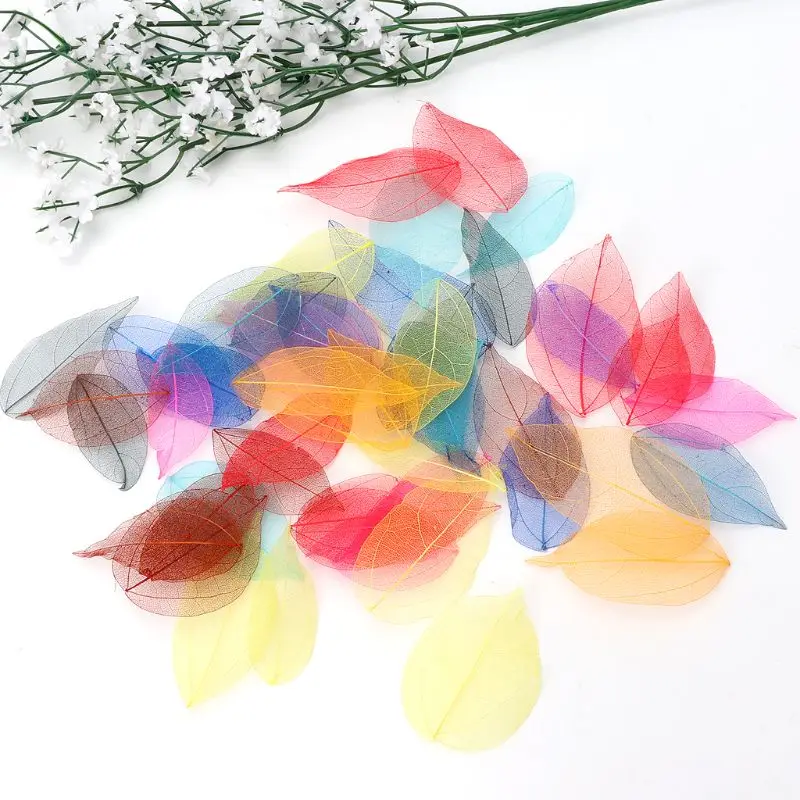 

50 Pcs Mixed Color Natural Skeleton Leaves Pressed Flower for Jewelry Making