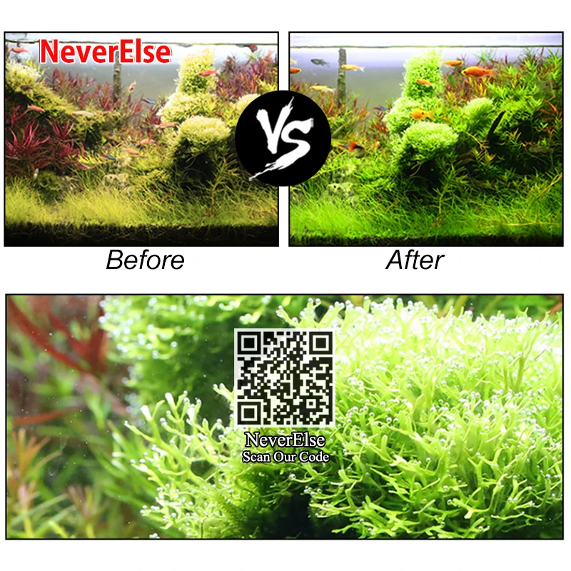 

60pcs Planted Aquiarium CO2 Tablet Carbon Dioxide Fish Tank Diffuser Aquatic Water Grass Waterweed CO2 Help Plant Photosynthesis