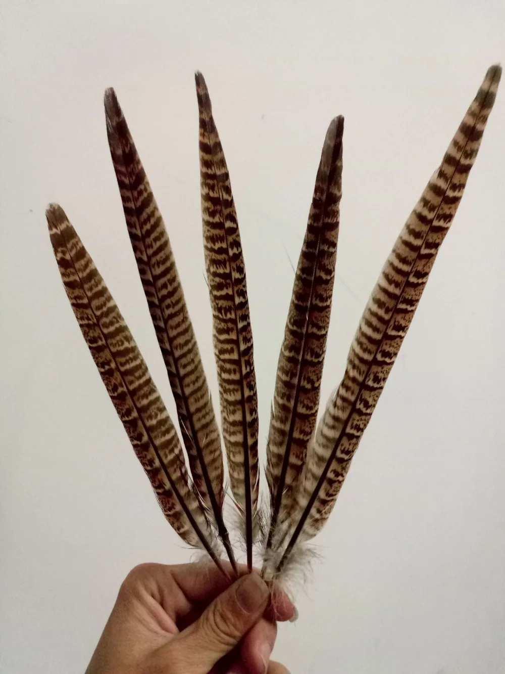 10 pieces of high quality natural pheasant feathers 25-30cm DIY handicrafts decorative accessories | Дом и сад