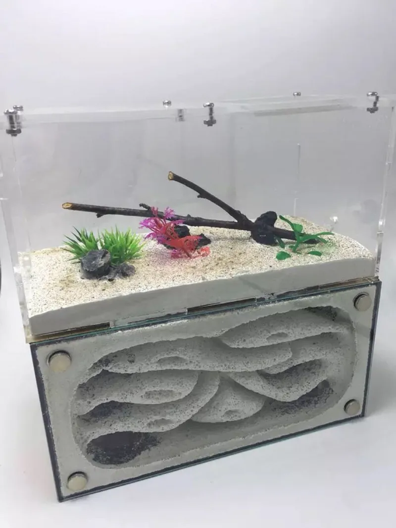 1 шт. Муравьиное гнездо муравьиная мастерская акриловое для бетона новая версия