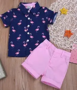 Футболка с коротким рукавом и шорты для мальчиков фламинго |