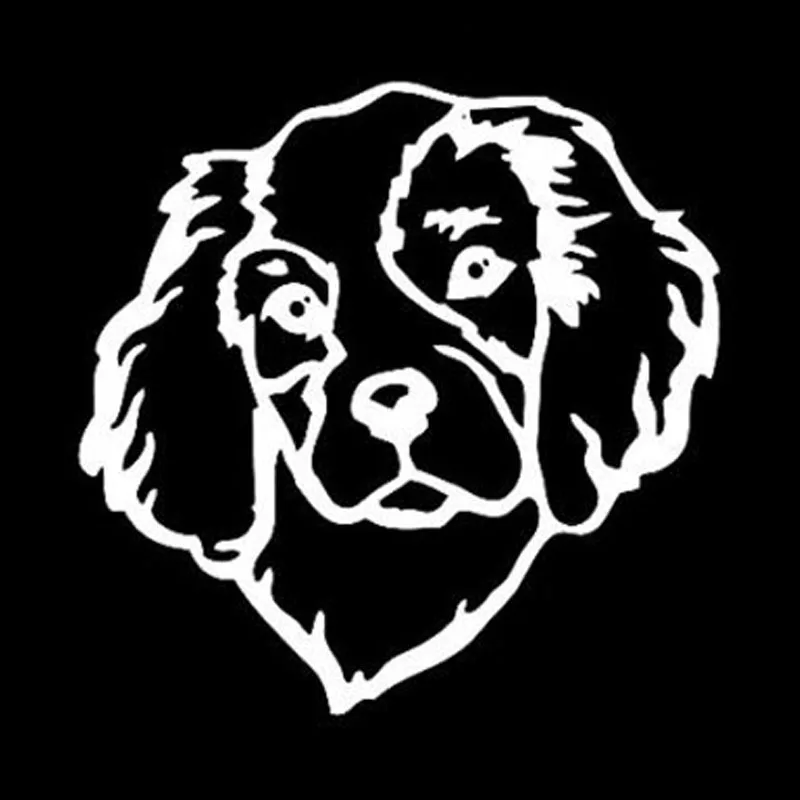 12 7*12 7 см годов оформления фотографий с надписью Cavalier King и Charles Spaniel цвет