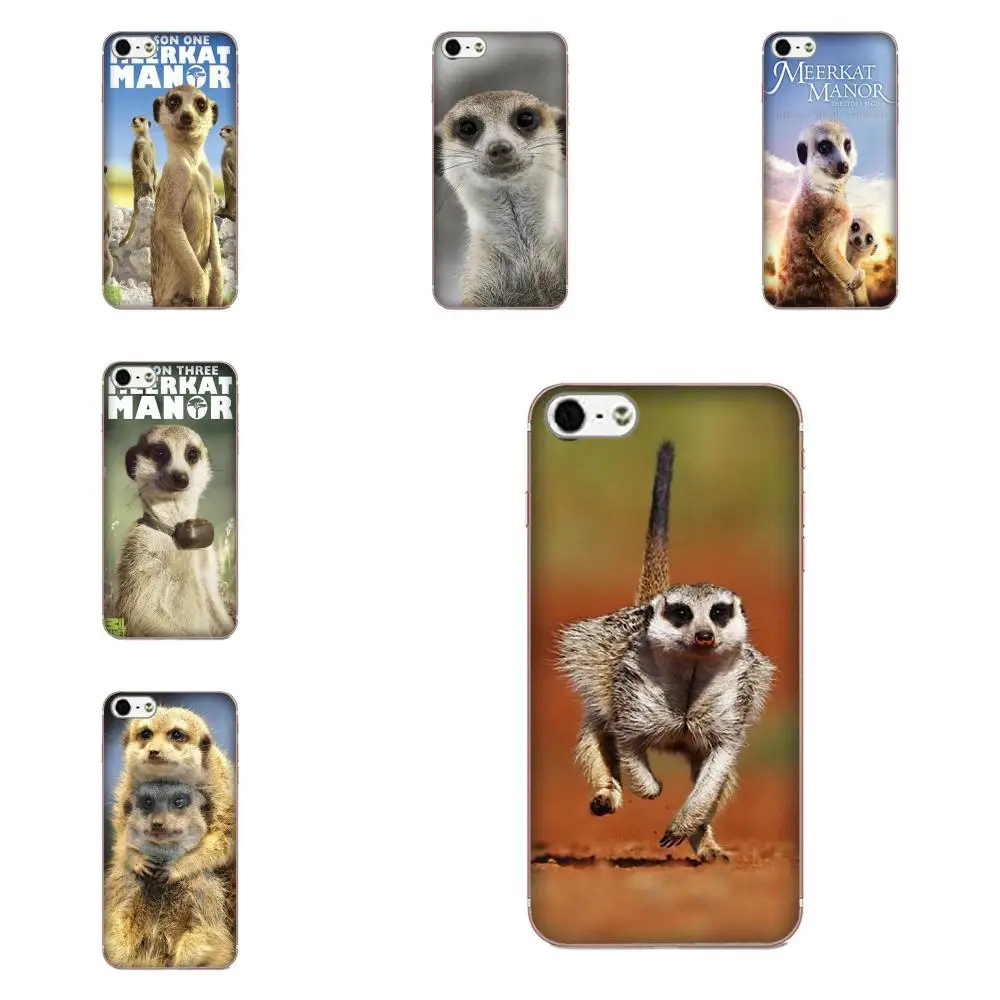 Для Apple iPhone 4 4S 5 5C 5S SE 6 6S 7 8 Plus X XS Max XR Мягкий ТПУ хит продаж Meerkat Manor|Чехлы-накладки| |