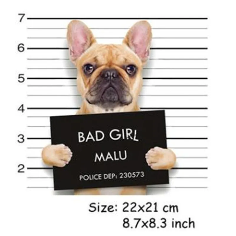 

Fashion PVC Patch deal with it Clothes wanted BAD dog Heat Transfer Printing T shirt girl iron on patches for clothing Stickers
