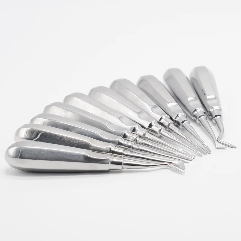 

Dentistry Stainless Steel Luxating Lift Elevator Clareador Curved Root Hexagon 1Set/10Pcs