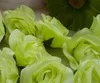 Светло-зеленый 500 шт. искусственная Камелия Роза Пион крем цвета слоновой кости Burjundy Цвет Цветок голова Свадьба для рождественской вечеринки 7-8 см декоративный цветок - Цвет: Светло-зеленый