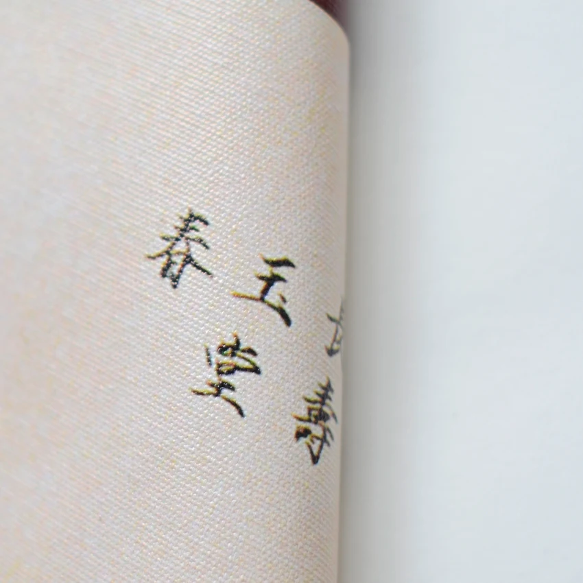 Тщательная роспись цветов и птиц пионы китайские картины холст Винтаж Декор для