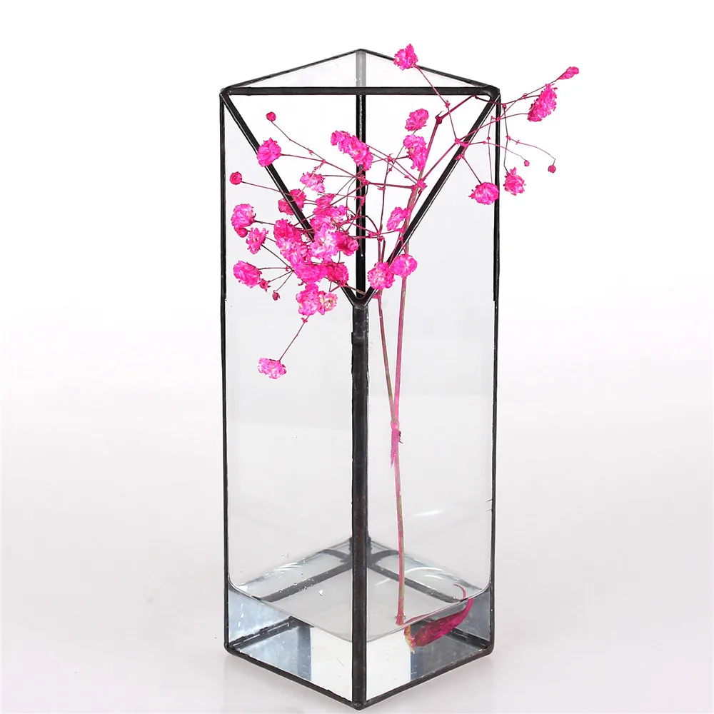 Аквариумные водные растения длинная четырехугольная призма геометрическая