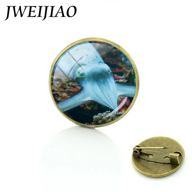 Броши JWEIJIAO документальный фильм Синяя планета большая океанская живая вещь