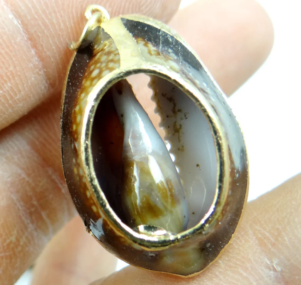 5 шт. женское колье с подвеской в виде ракушки|charm jewelry|charms jewelry makingjewelry charms |