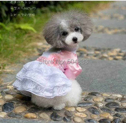 Abby Pet Dogs/кружевное платье принцессы для свадебной вечеринки с изображением щенка