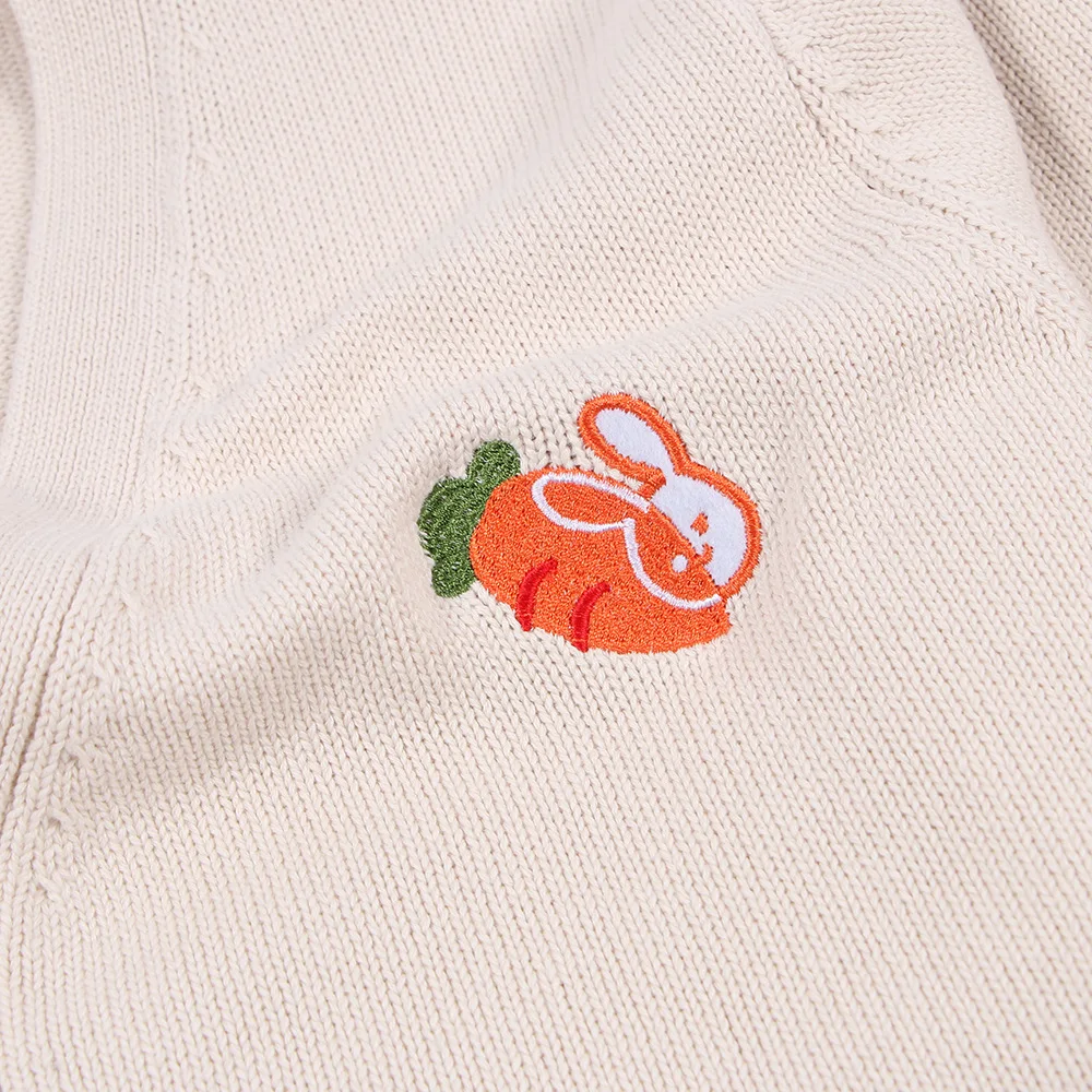 Japanese School Girl Uniform Spring Autumn Embroidery Long Sleeve V-neck Single-breasted Knitted Sweater JK Uniforms Cardigan |