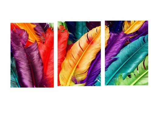 Современные картины на холсте 3 предмета красочные перья фотообои для столовой