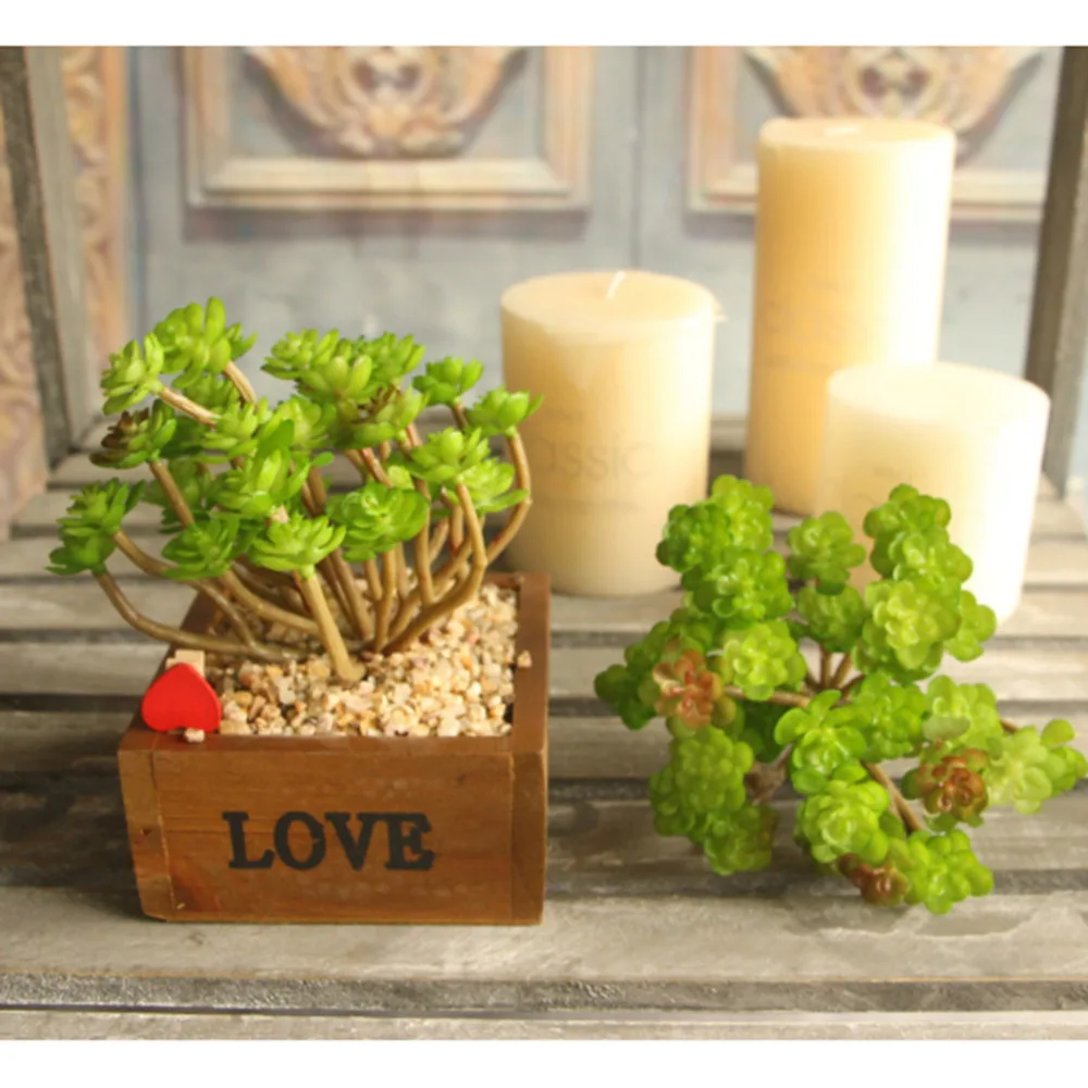 7 видов искусственных суккулентов растения лотоса трава пустыня пейзаж