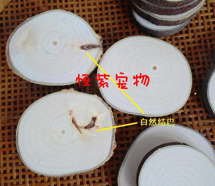 Деревянная подставка для попугаев Весенняя клетка из натурального дерева