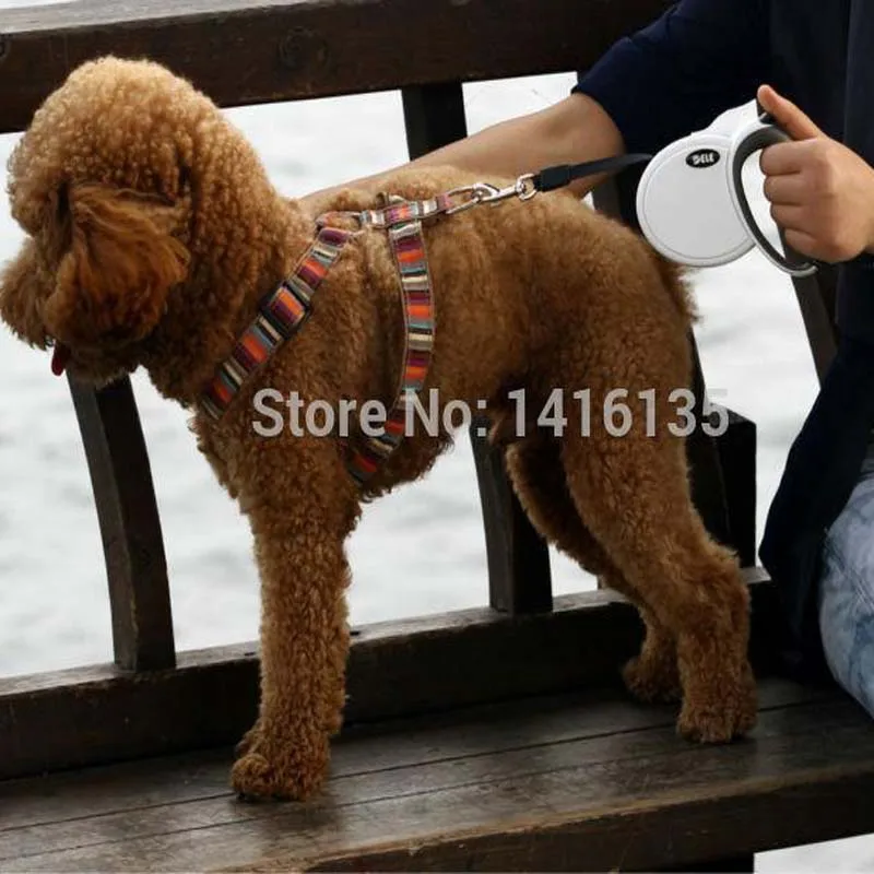 Лидер продаж поводок для собак выдвижной ошейник 3 м белый|pet dog leash|dog leash retractablepet |