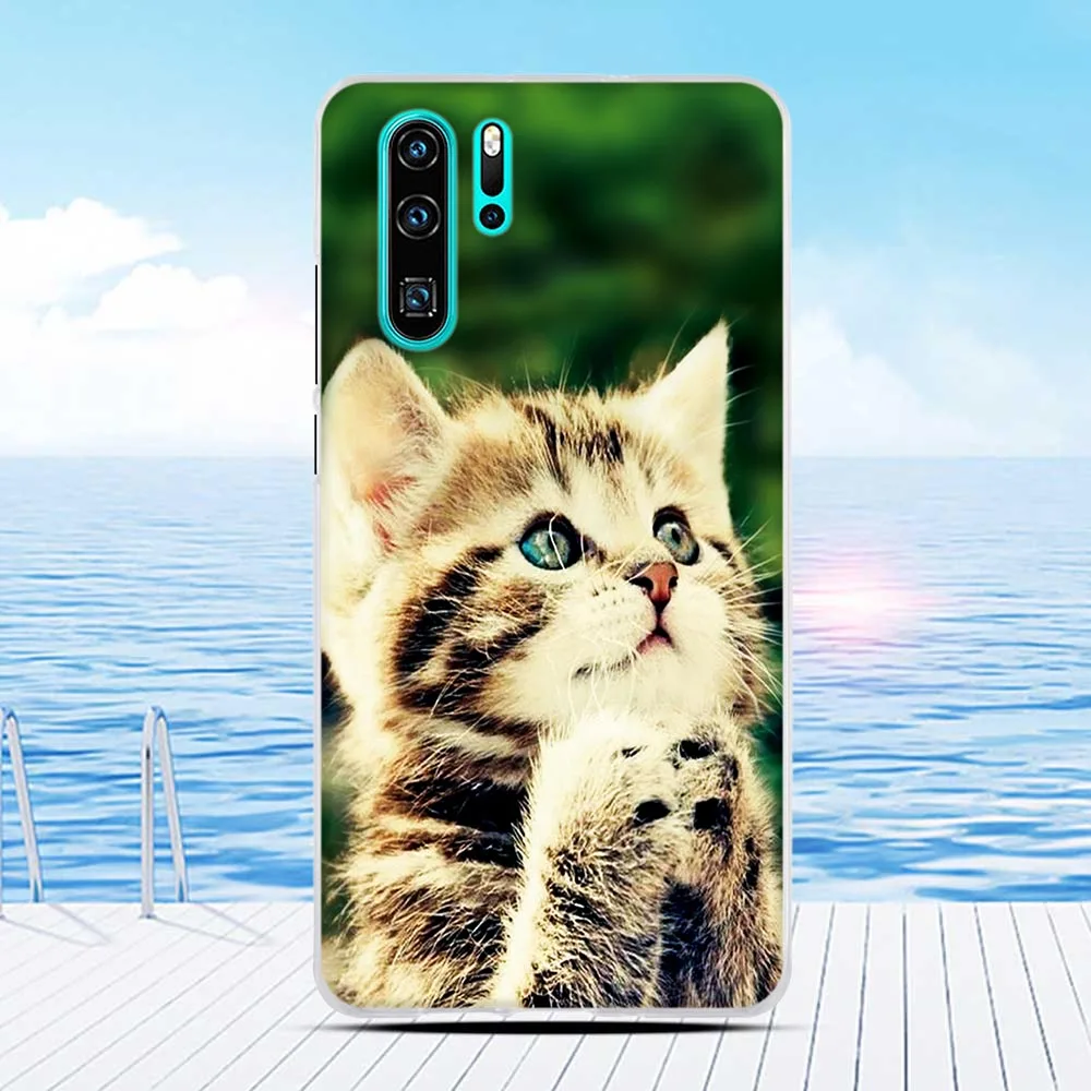 Чехол для телефона Huawei P30 Pro мягкий чехол из ТПУ P 30 милый противоударный p30