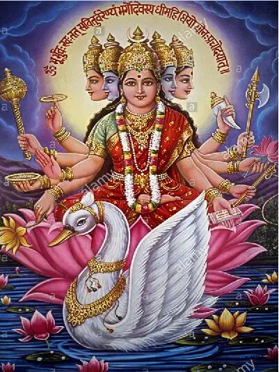 TOUOILP 5D Сделай Сам 5d Lakshmi Алмазная картина полный 5d алмазная вышивка распродажа набор крестиков Стразы мозаика садовый декор - Цвет: 11