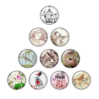 birds birdcage 10pcs mixed 12mm16mm18mm25mm round photo glass cabochon demo flat back making findings