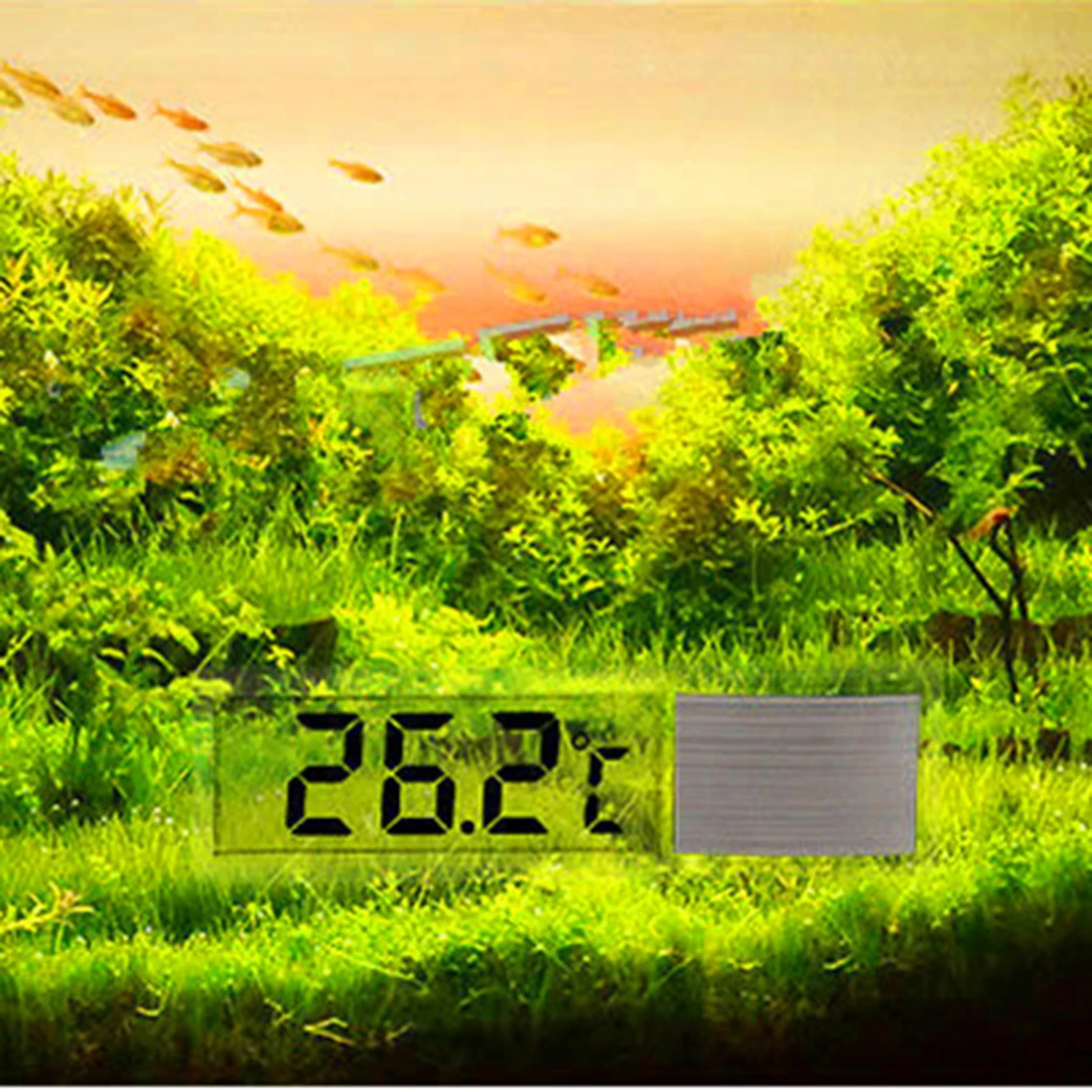 Случайный цвет многофункциональный Lcd 3D Кристальный цифровой электронный