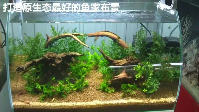 2 шт./партия driftwwood аквариумные рыбки танкнатурные коралловые деревянные тропические леса Декор корень Водные товары для домашних животных ландшафтный дизайн