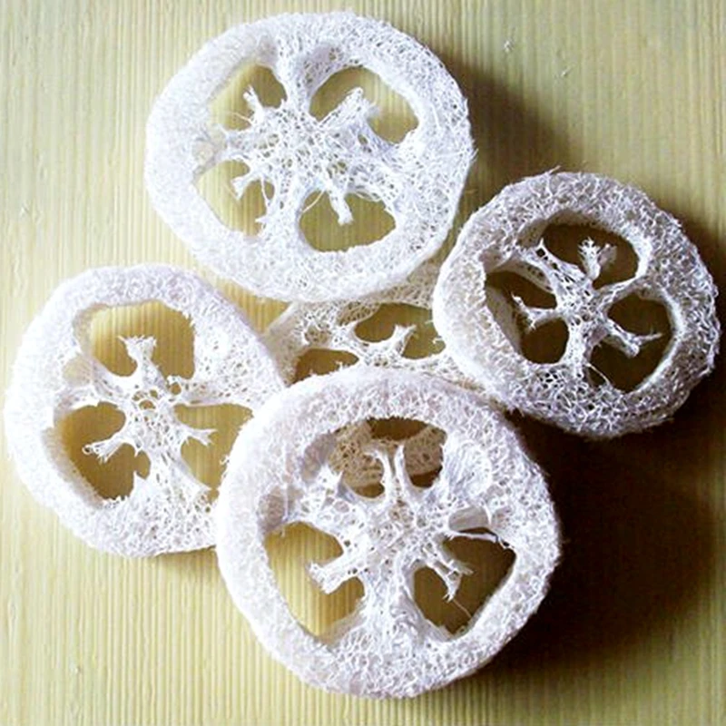 

Губка из натуральной люфы Luffa, толщина 1 см, 20 шт./лот