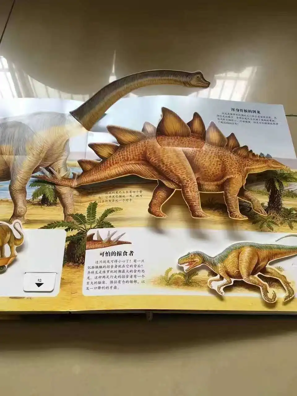 3d-книга китайского динозавра забавная научная история изображений подарок для