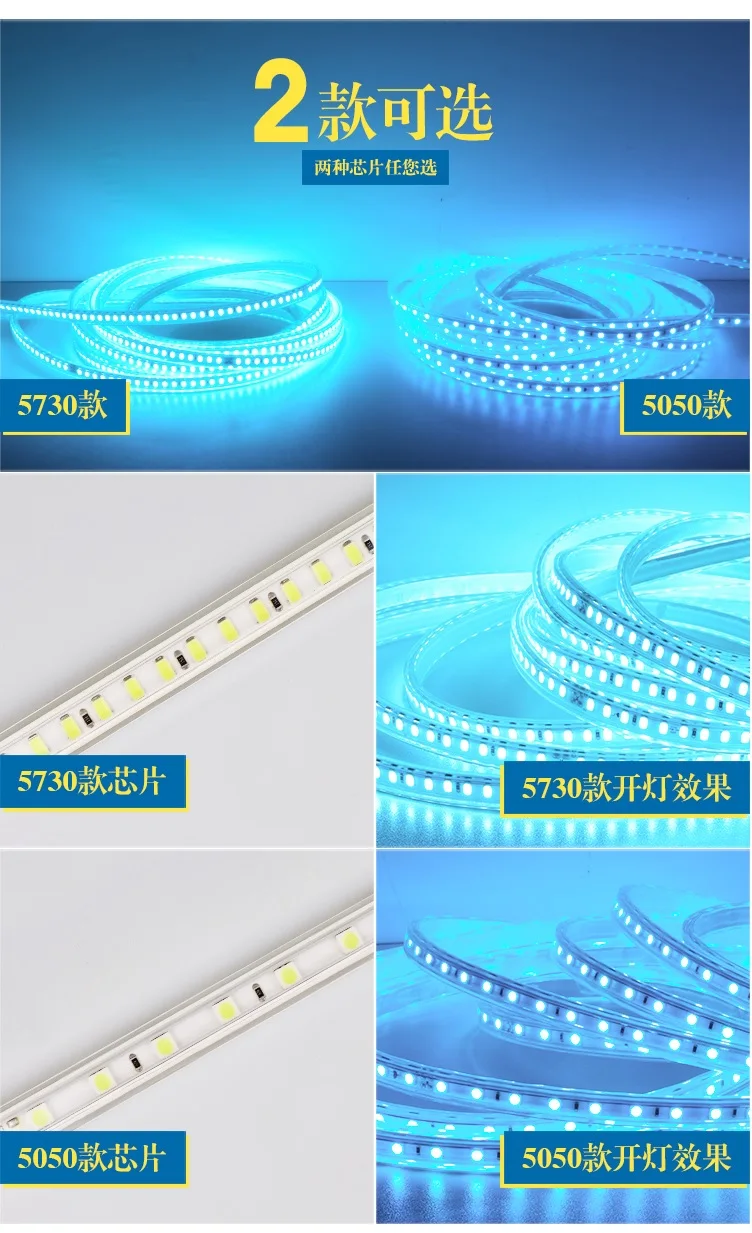 1000m Pack, Outdoor 220V LED Flexible Neon Stripe of Ocean Blue with 5730 Beads / 100m per Spool / 3 Years Warranty
