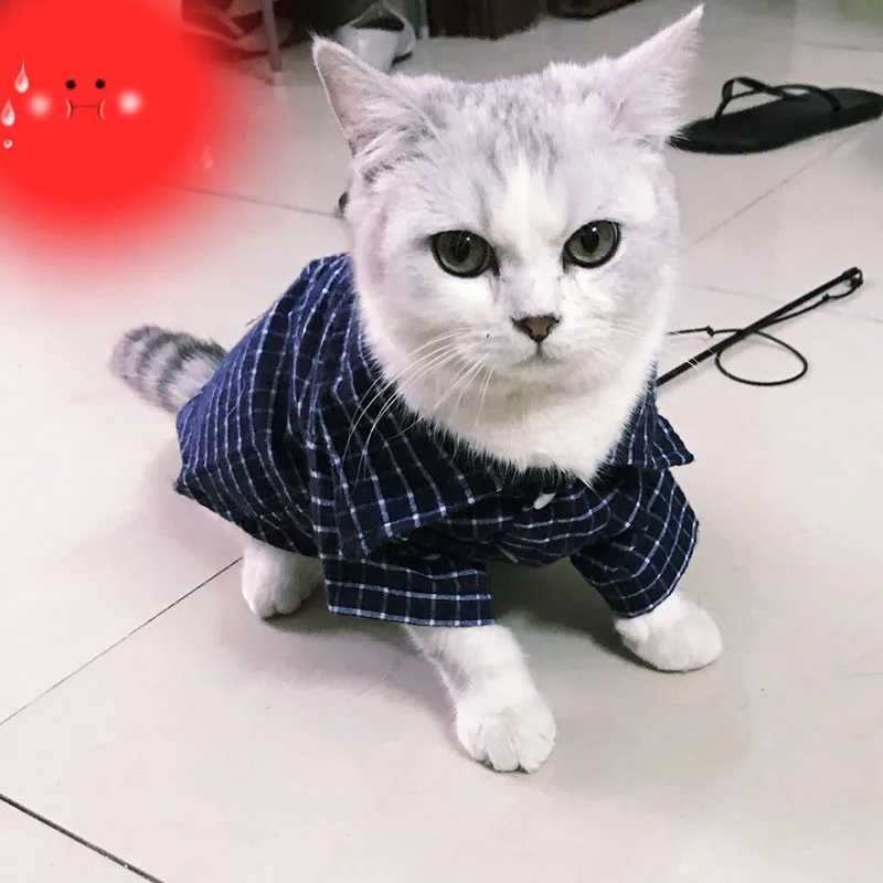 Маленькая собака одежда для домашних животных, котов, красивый котик, одежда модные Рубашки в клетку для кошек котенка хлопковые щенков летняя одежда XS размеры s m l xl