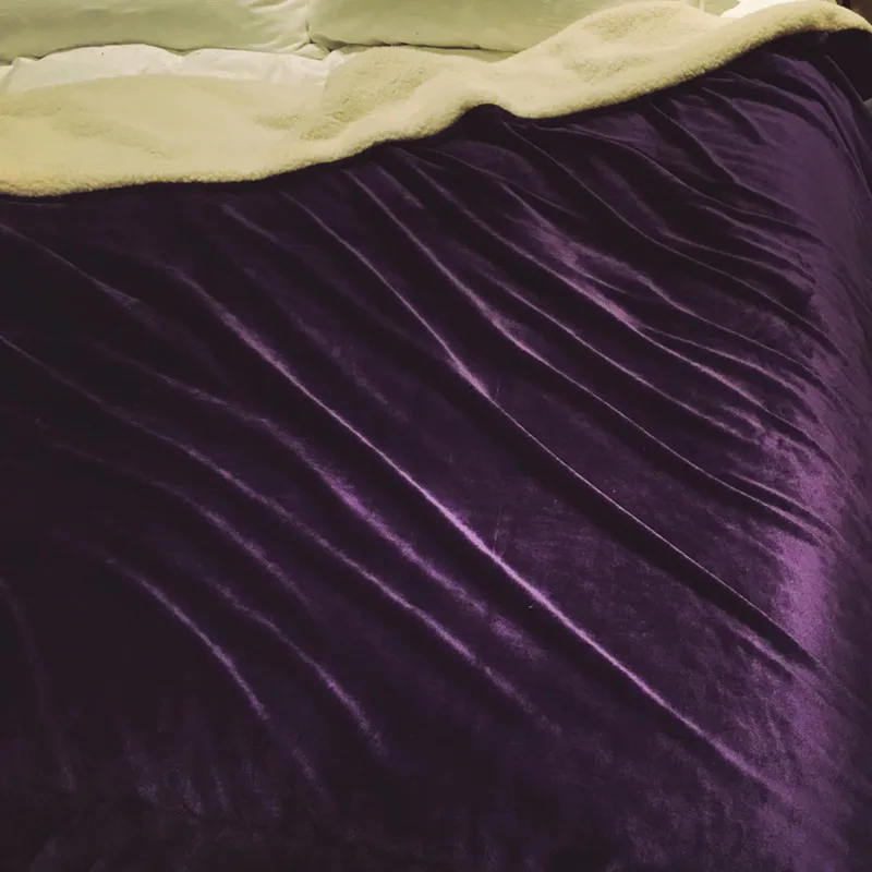 Благородное фиолетовое гладкое и мягкое Фланелевое Флисовое одеяло теплое