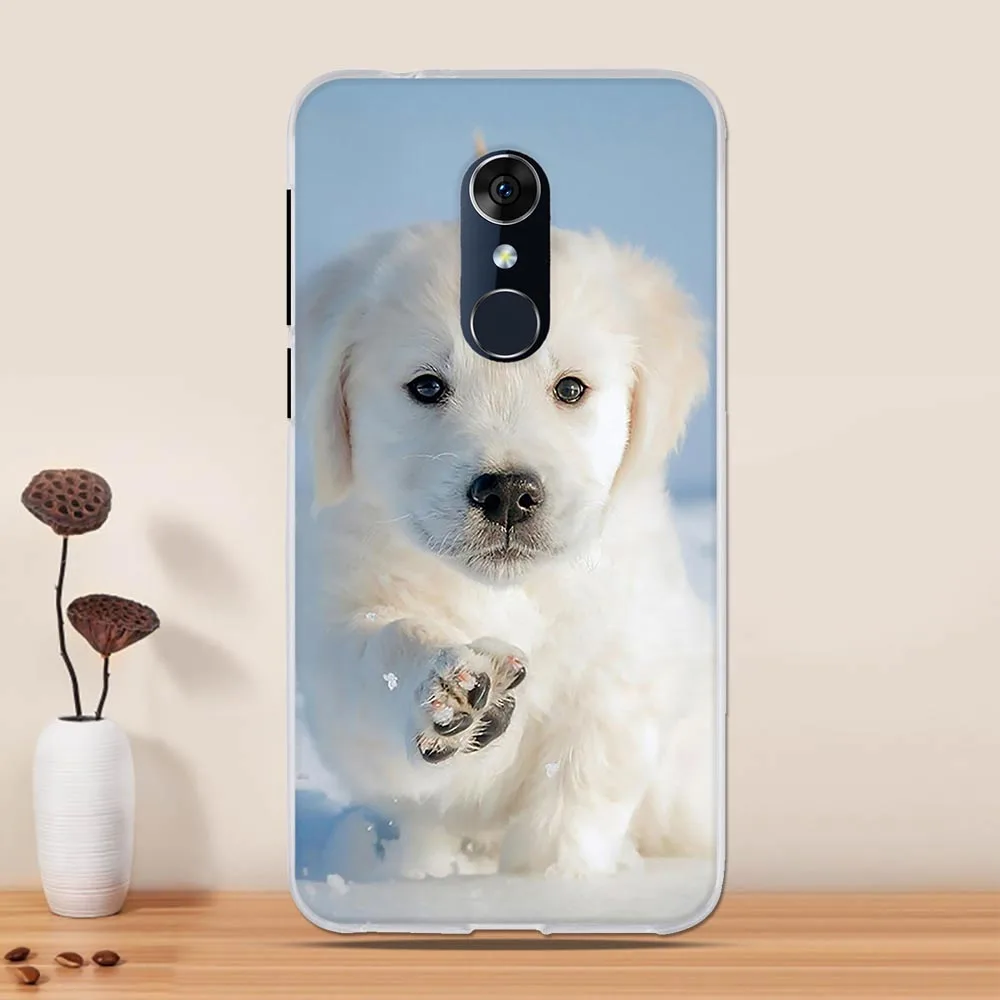 Для Alcatel 3l 5034d чехол, силиконовый чехол, Funda для Alcatel 3 5052D 3052y чехол, мягкая задняя крышка из ТПУ для Alcatel 3 3L чехол для телефона