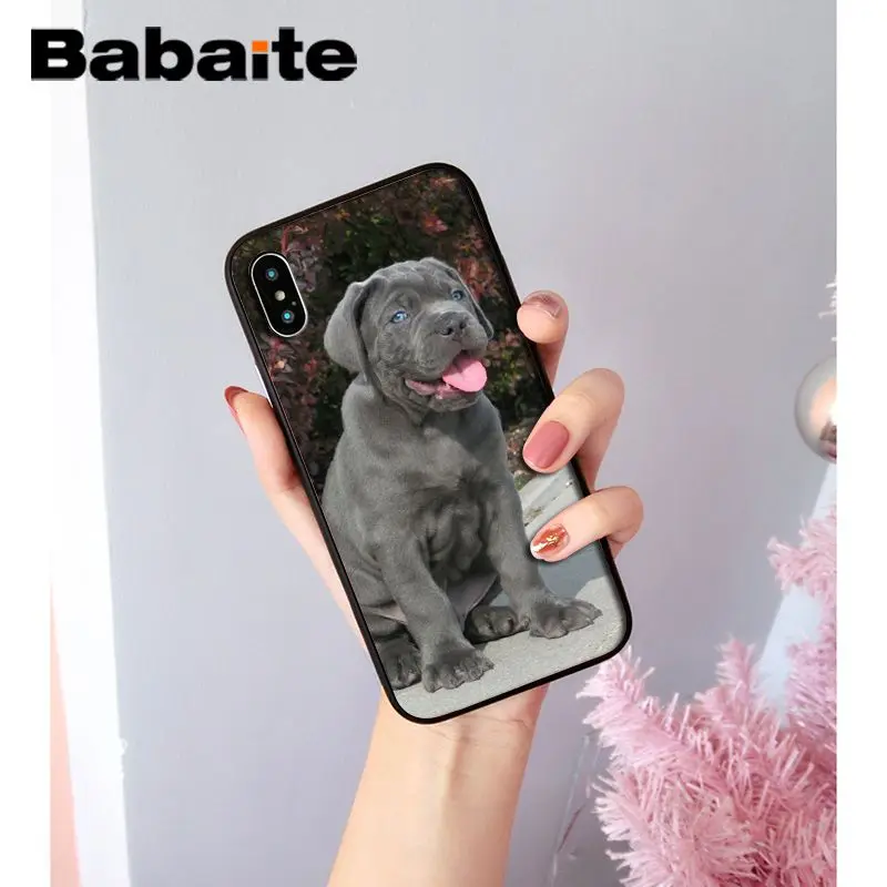 Babaite прекрасный питомец питбуль Новинка чехол для телефона Fundas чехол для iPhone X XS MAX 6 6S 7 7plus 8 8Plus 5 5S XR чехол