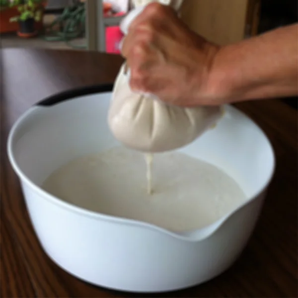 Набор из 3 штук миндальная сумка для молока 12x12 дюймов зеркальный фильтр D