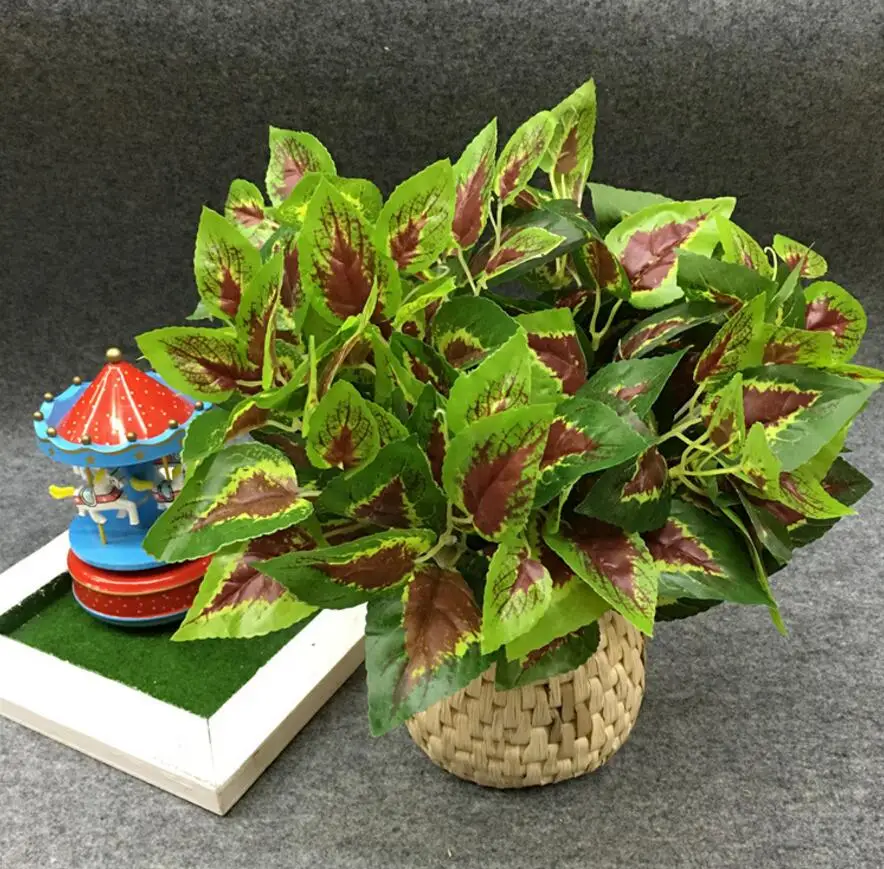 Ветка листьев периллы 5 шт. | Дом и сад