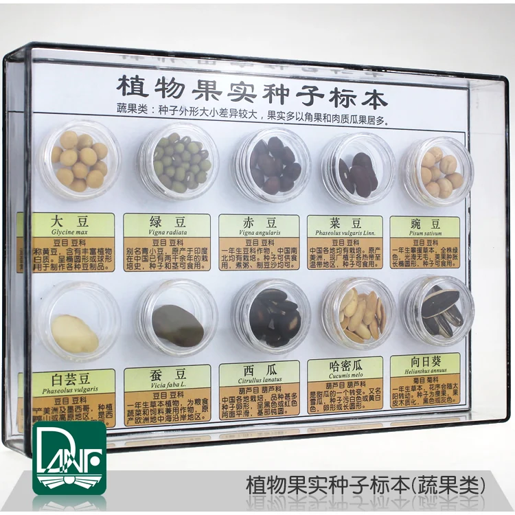 60 Kinds of Plant Fruit Seed Specimens Classification Kindergarten Science Area Teaching Equipment | Канцтовары для офиса и