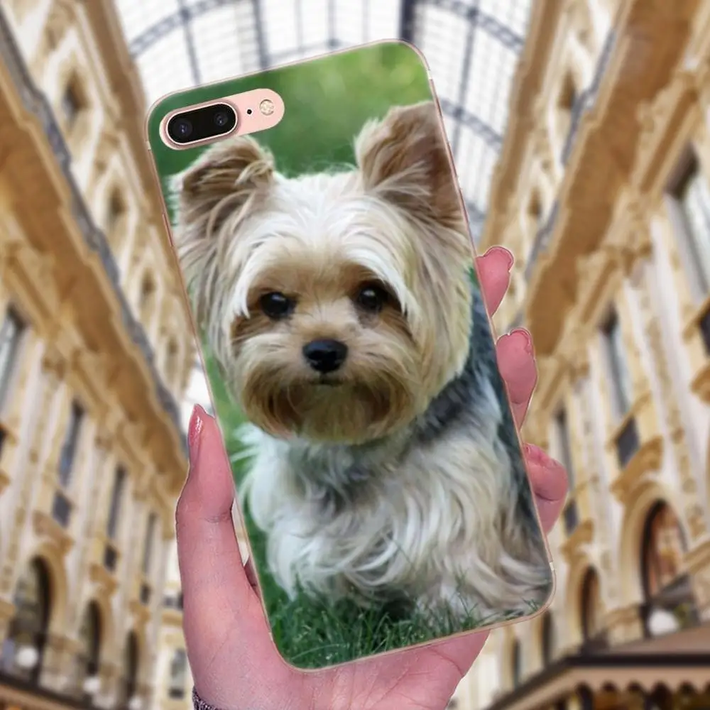 Тонкий чехол из ТПУ для Galaxy J1 J2 J3 J330 J4 J5 J6 J7 J730 J8 2015 2016 2017 2018 mini Pro йоркширский терьер