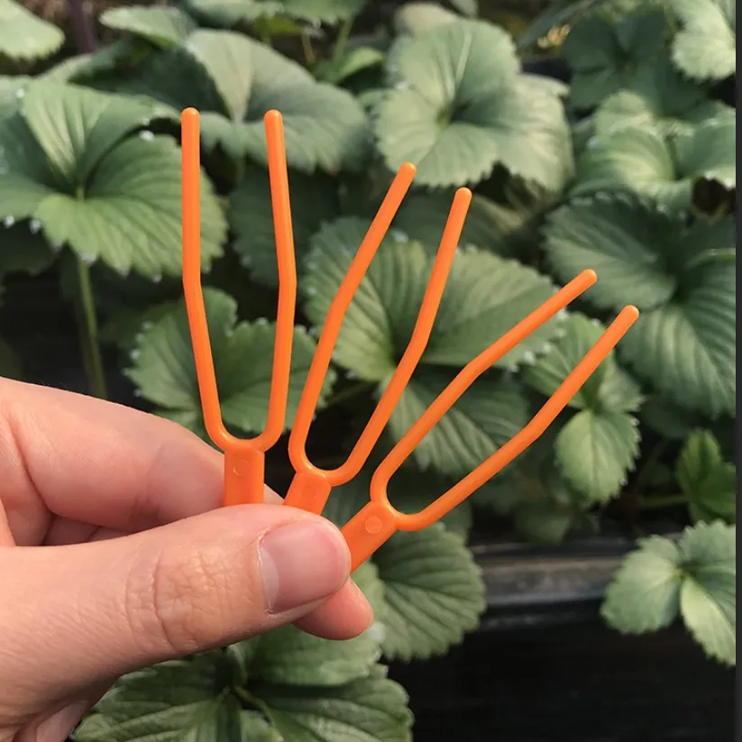 100 шт. пластиковые столеты для фиксации растений|Детские лотки и крышки| |