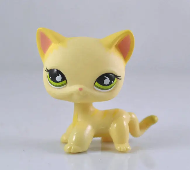 Коллекция коротких волос для домашних животных кошка ребенок девочка мальчик