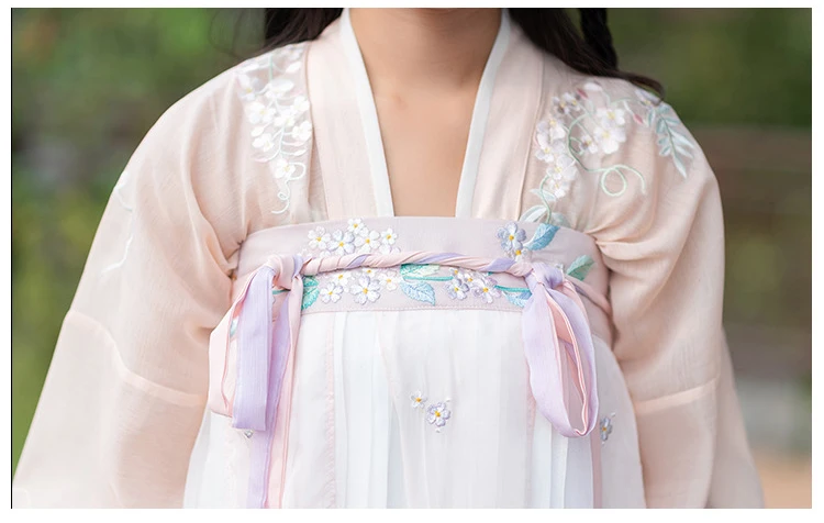 Hanfu Женский длинный рукав вышивка костюм Хана элемент династии Тан традиционный костюм Юбки феи платье принцессы для взрослых DN3508