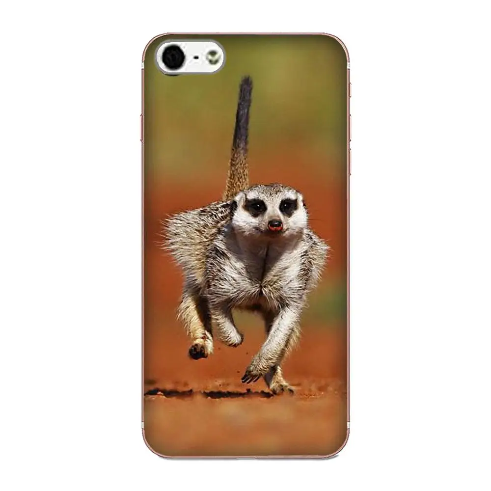 Meerkat Manor Soft Stylish Case For Xiaomi Mi3 Mi4 Mi4C Mi4i Mi5 Mi 5S 5X 6 6X A1 Max Mix 2 Note 3 4 | Мобильные телефоны и