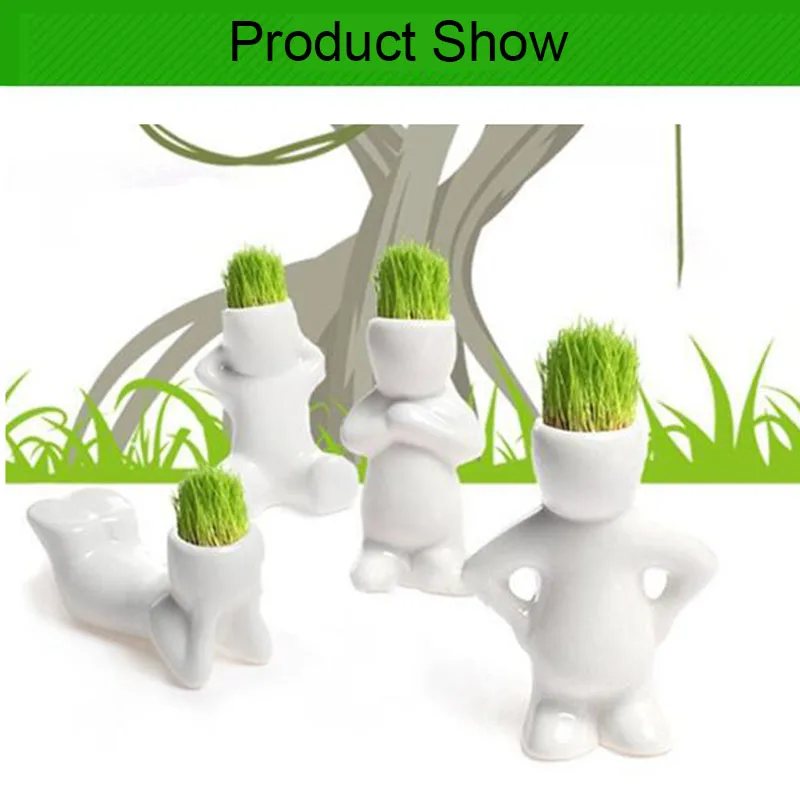 Cat Food Feeder Toy Rye Cat Grass Plant Herb Edible Lemongrass Kitchen Vegetable Bonsai Medicinal Use graines legumes pota