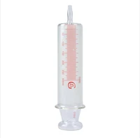 150ml200ml250ml300ml500ml1000ml all glass syringes large sausage device glass sample extractor glass injector large caliber