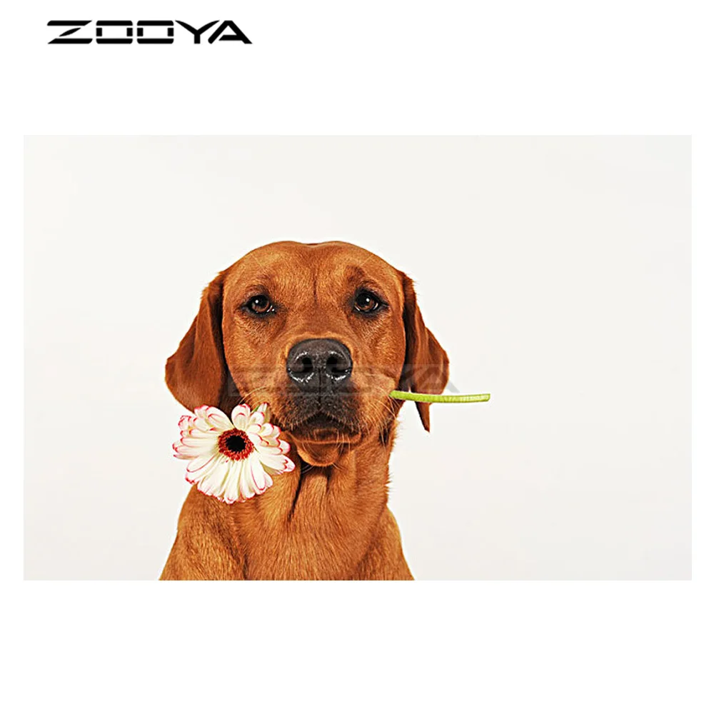 

Diamond Embroidery Sale Cross-Stitch Kits Labrador Dog Diamond Painting Embroidered With Rhinestones R2073