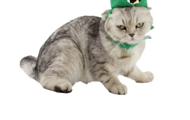 FML домашнее животное одежда Рождественский Cat Hat с Цепочки и ожерелья ошейник любимца аксессуары для маленьких собак и кошек галстук для щенят День рождения
