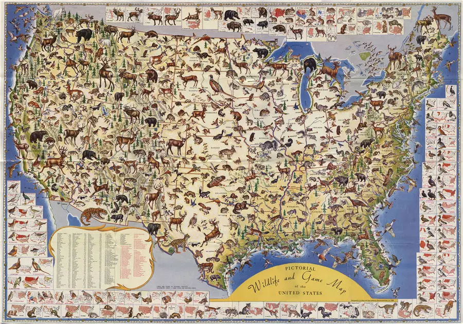 Antique Map of the United States Various Animals Detailed Introduction Canvas Drawing Print Wall Art Sticker School Home Decor | Дом и сад