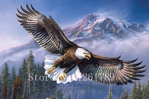 Рукоделие вышивка крестиком сделай сам DMC 14CT наборы для вышивки Eagles fly 2 домашняя